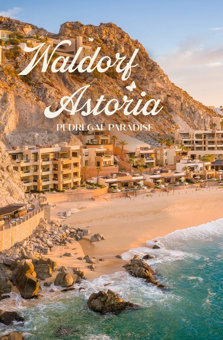 PANDA-Live Auction Cards-5.5x8.5 (dragged) 2