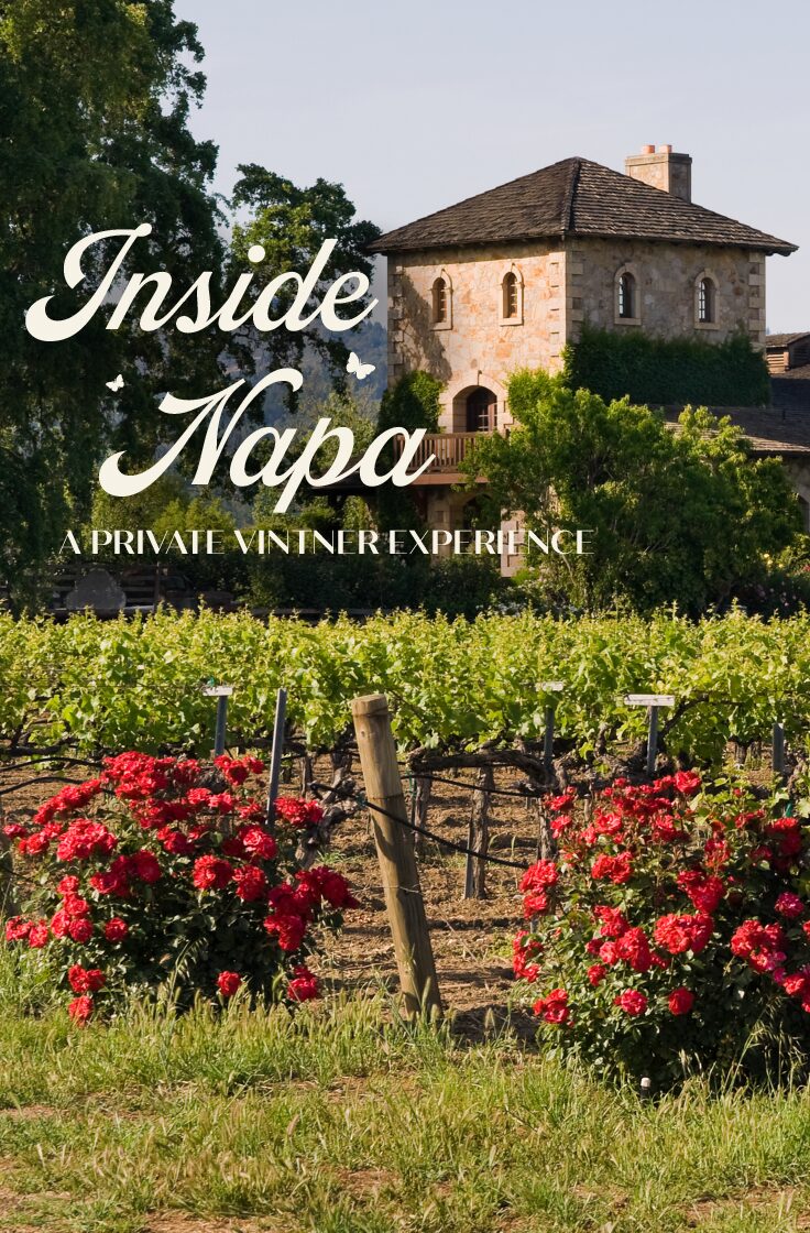 PANDA-Live Auction Cards-5.5x8.5 (dragged) 5